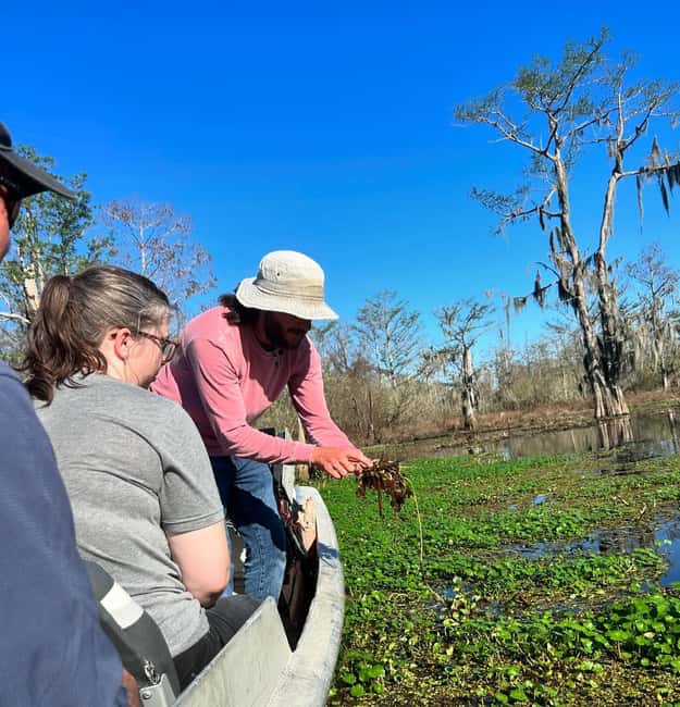 2-hour Eco-Swamp Tour - Preparing for Heat, Bugs, and Changing Conditions