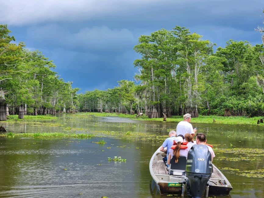 2-hour Eco-Swamp Tour - Who Will Enjoy This Atchafalaya Tour Most