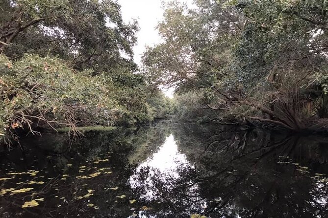 2 Hours Boat Tour in Louisiana Bayous Near New Orleans - Key points before you book