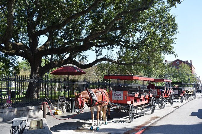 45-Minute French Quarter Highlights Tour in New Orleans - A fast introduction to New Orleans