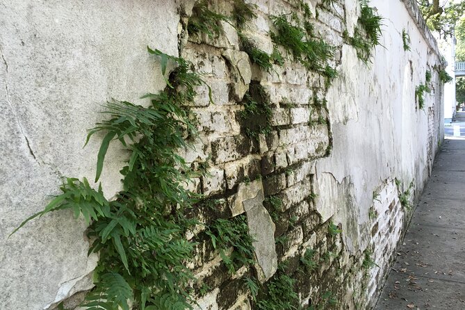 45-Minute Garden District Highlights Tour in New Orleans - Who should choose this tour?