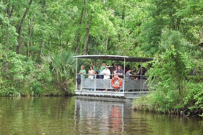 90-Minute Jean Lafitte Swamp and Bayou Tour with Transportation - Key points to know before you book