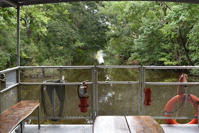 90-Minute Jean Lafitte Swamp and Bayou Tour with Transportation - Choosing morning or afternoon