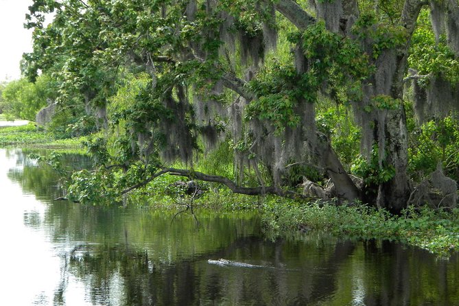 90-Minute Jean Lafitte Swamp and Bayou Tour with Transportation - Is $62 a good value?