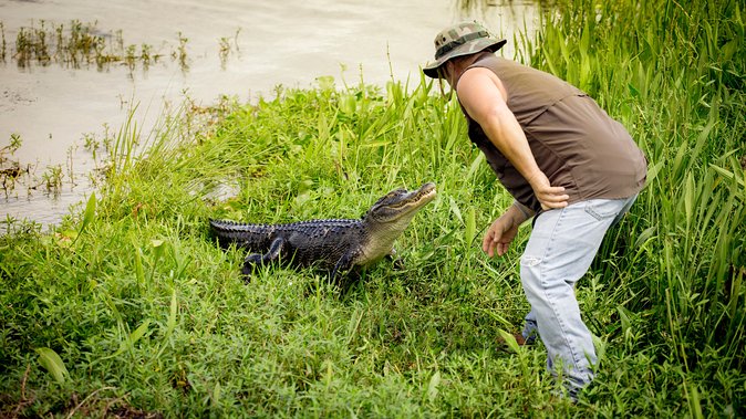 Airboat Ride with Transportation from New Orleans - Is $90 a fair price?