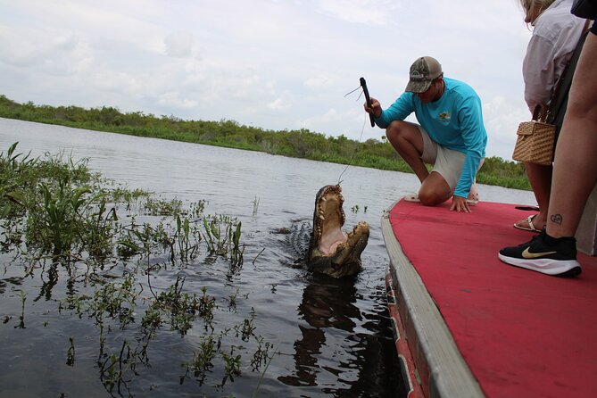Airboat Swamp Tour - The seasonal question: when should you go?