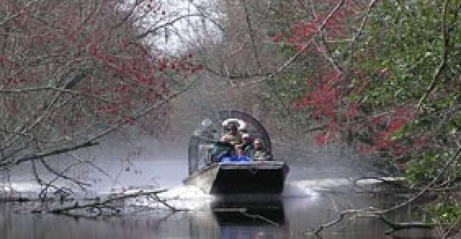 Airboat Tour of Louisiana Swamps - The airboat makes the swamp feel close