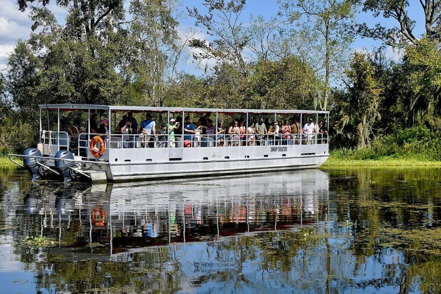 Alligator Swamp Tour by Gray Line New Orleans - Key Points Before You Book