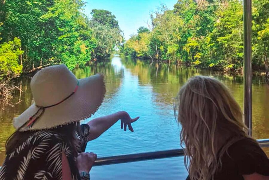 Alligator Swamp Tour by Gray Line New Orleans - Practical Tips for a Better Ride