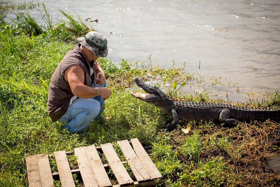 Alligator Swamp Tour by Gray Line New Orleans - Leaving New Orleans for Lafitte Country