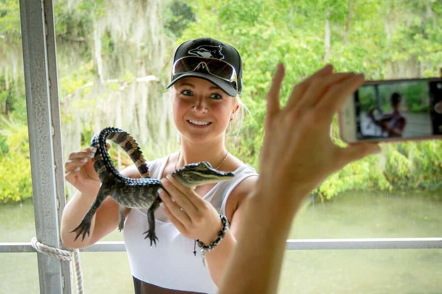 Alligator Swamp Tour by Gray Line New Orleans - Pontoon Boat or Fan-Powered Airboat
