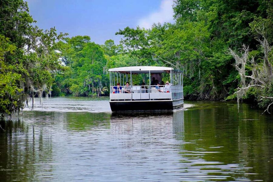 Alligator Swamp Tour by Gray Line New Orleans - What the Guide Adds