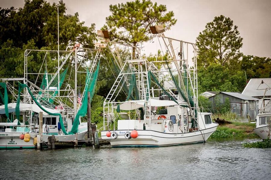 Alligator Swamp Tour by Gray Line New Orleans - Price, Transport, and Overall Value
