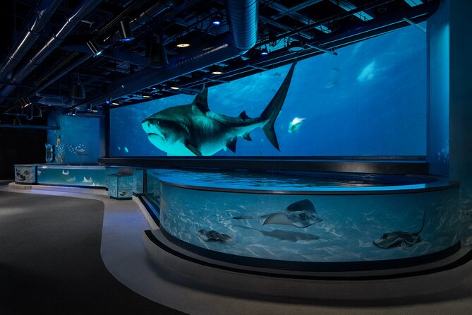 Audubon Aquarium and Insectarium Ticket - A self-guided nature stop beside the French Quarter