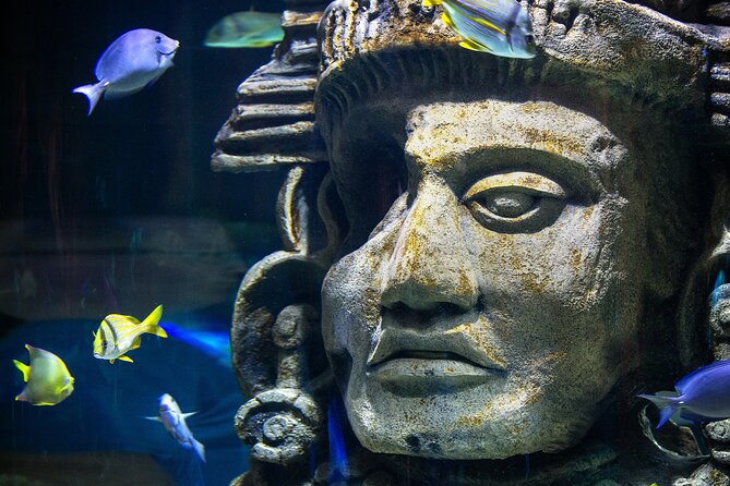 Audubon Aquarium and Insectarium Ticket - Accessibility and comfort details that matter