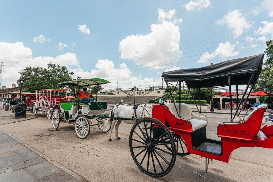 City Sightseeing New Orleans HOHO Bus Tour & Bookable Extras - St. Charles Avenue and the Garden District