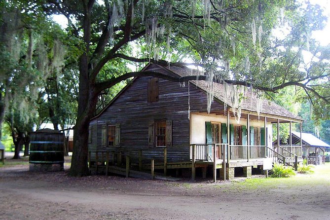 Destrehan Plantation and Large Airboat Tour from New Orleans - Noise, weather, and what to bring