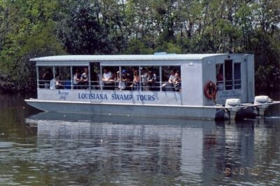 Destrehan Plantation and Swamp Tour from New Orleans
