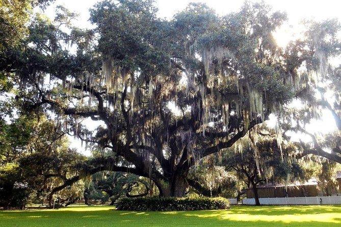 Destrehan Plantation and Swamp Tour from New Orleans - The short changeover between plantation and swamp