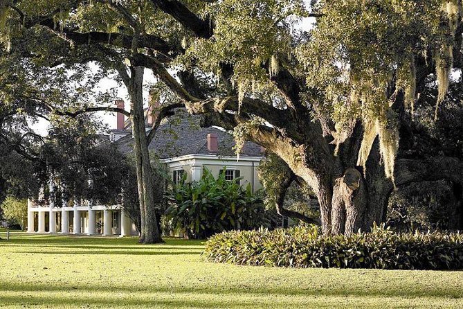 Destrehan Plantation and Swamp Tour from New Orleans - Wildlife sightings depend on the weather