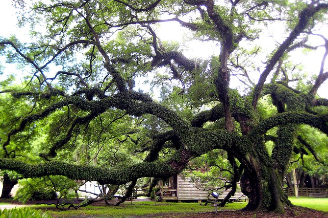 Destrehan Plantation Tour - The Legacy Room and original documents
