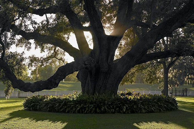 Destrehan Plantation Tour - Walking the grounds beneath the oak trees