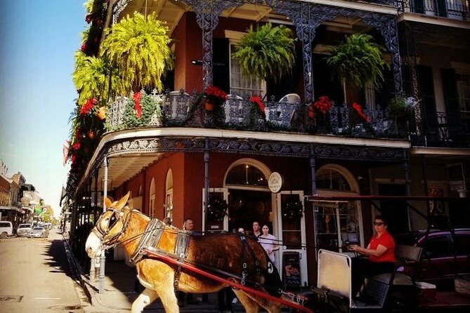 French Quarter Tour with Local Guide and Creole Stories - Key points at a glance
