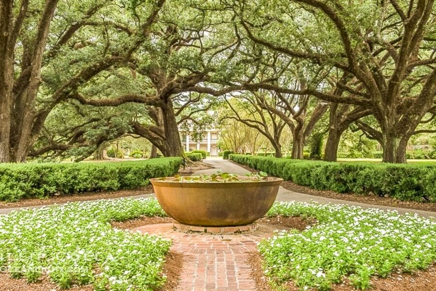 From New Orleans: Oak Alley Plantation Tour - Key points to know before you go