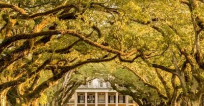 Oak Alley Plantation Tour