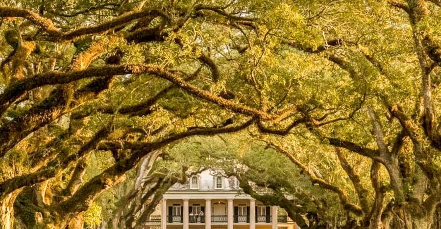 From New Orleans: Oak Alley Plantation Tour - The 70 to 75 minute ride from New Orleans