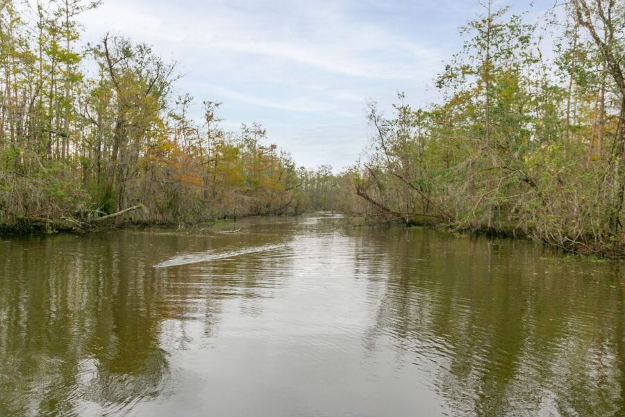 From New Orleans: Swamp Airboat, 2 Plantation Tours & Lunch - Houmas House, lunch, and the Sugar Palace