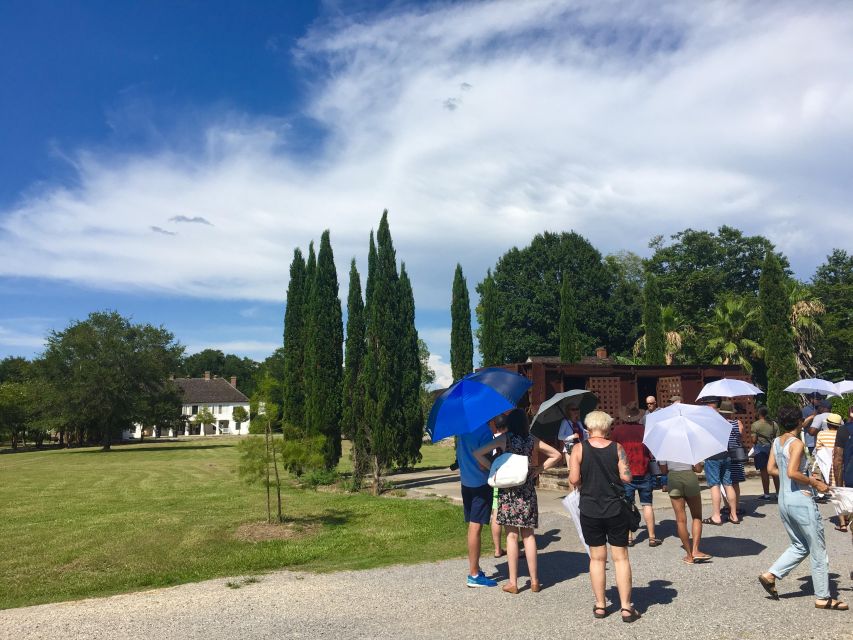 From New Orleans: Whitney and Laura Guided Plantation Tour - Why pairing Laura and Whitney makes sense