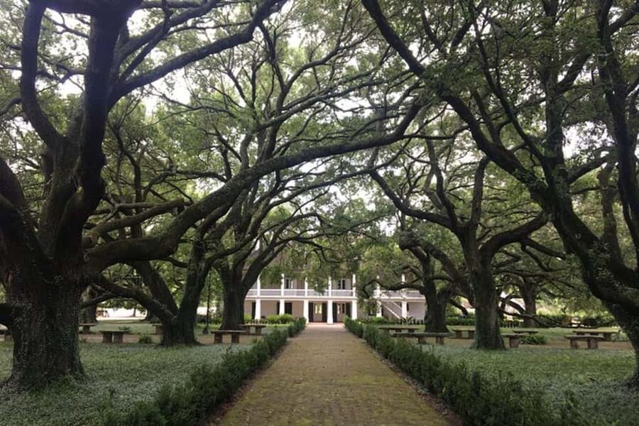 From New Orleans: Whitney Plantation and Airboat Tour Combo - Why this New Orleans day trip feels different