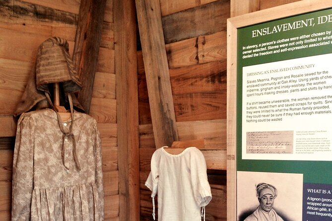 Full Day Plantation and Swamp Tour in New Orleans - Oak Alley: beauty with a difficult past