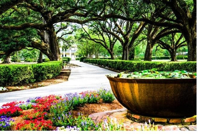 Garden District History and Homes Walking Tour - Key points at a glance