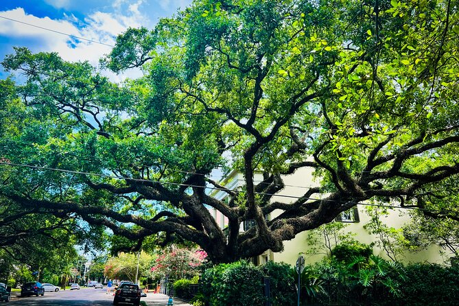 Garden District Walking Tour - How this walk fits into a New Orleans visit