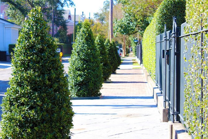 Garden District Walking Tour of New Orleans - The Main Strength: A Guide Who Makes Buildings Memorable