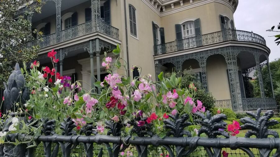 Glamorous Garden District Tour - Magazine Street, where class lines met