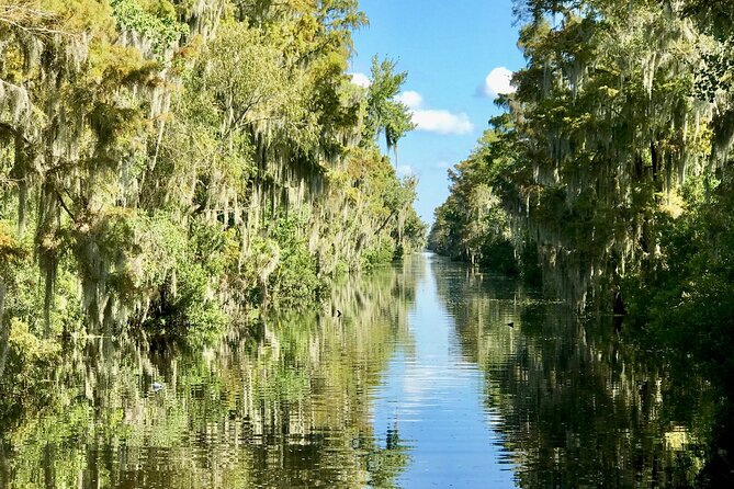Guided Boat Tour of New Orleans Bayou - Pontoon comfort versus airboat excitement