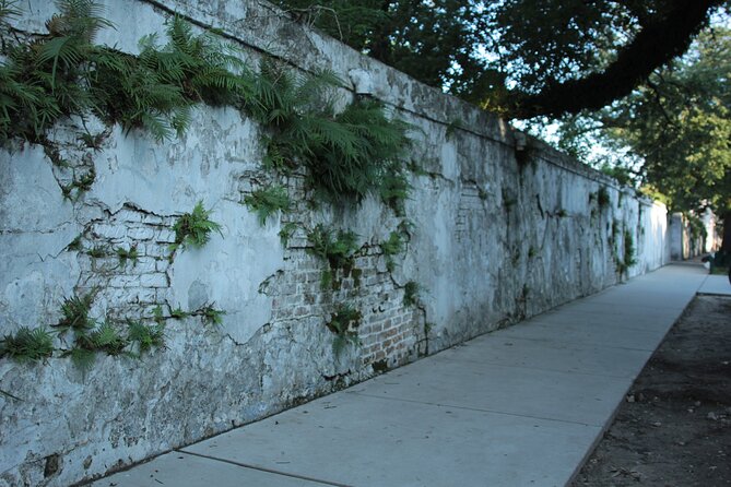 Historic Garden District Walking Tour - Who will enjoy this Garden District walk?
