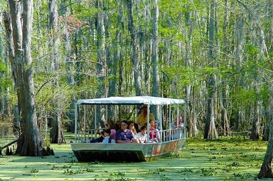 Honey Island Swamp and Bayou Boat Tour with Transportation - How much value does $70 offer?
