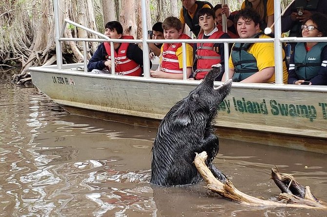 Honey Island Swamp Private Tour with Transport from New Orleans - Who will get the most from this tour