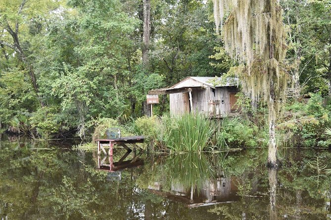 Jean Lafitte 90-Minute Swamp and Bayou Boat Tour - Alligators, Egrets, and Other Bayou Residents