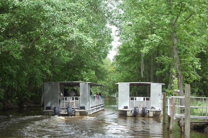 Jean Lafitte 90-Minute Swamp and Bayou Boat Tour - Matching the Tour to Your New Orleans Plans