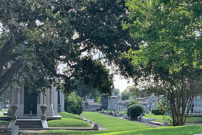 La Vie NOLA: Private City Tour of New Orleans - City Park, oak trees, and a Cafe du Monde stop