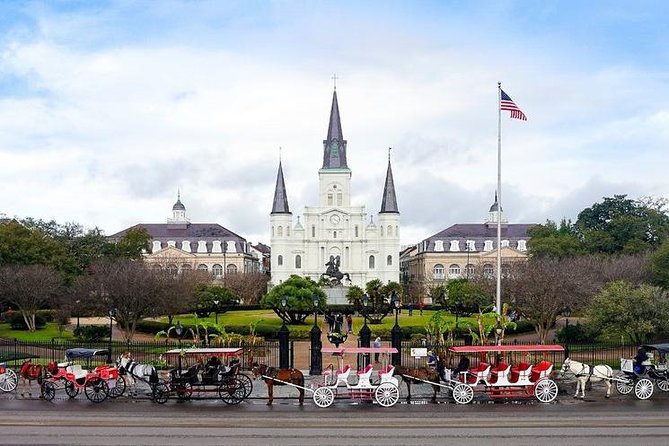 La Vie NOLA: Private City Tour of New Orleans - Local murals and art away from the usual route