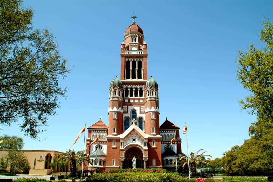 Lafayette: Cajun History & Folklore Walking Tour - The Cathedral Live Oak and the story of Evangeline