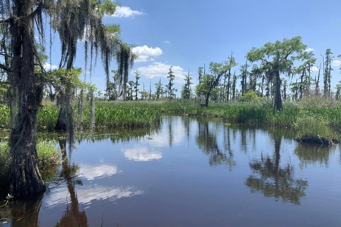 Large Airboat Swamp Tour with Transportation from New Orleans - What the two-hour boat tour feels like