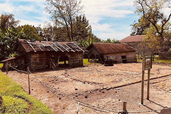 Laura Plantation Half-Day Tour from New Orleans - The morning pickup from New Orleans