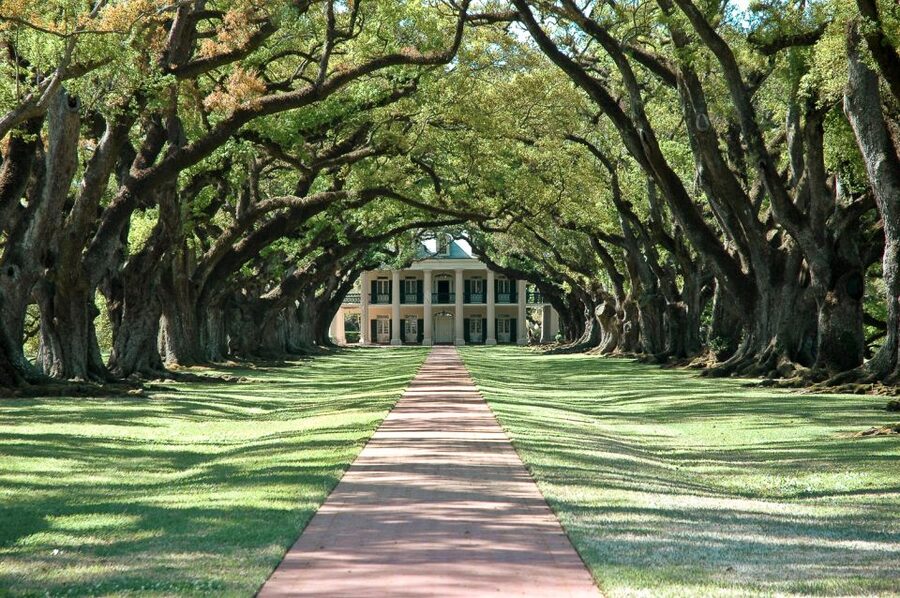 Louisiana: Laura, Oak Alley, or Whitney Plantation Tours - Three plantations, three very different lessons